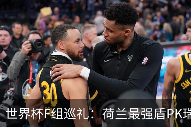 世界杯F组巡礼：荷兰最强盾PK瑞典犀利刀 日本短板明显